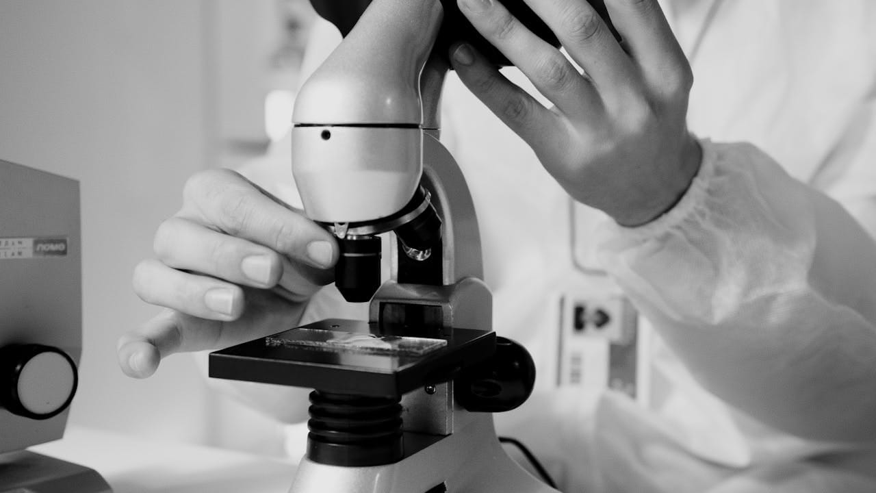 Malaria Parasite Report Format Free PDF Download
