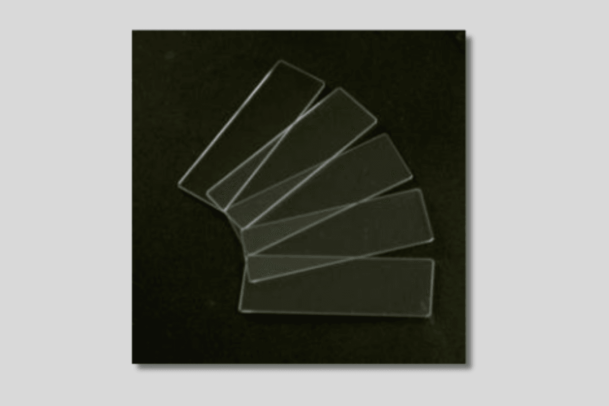 Glass Slide: Types and Role in Microscopy & Histology