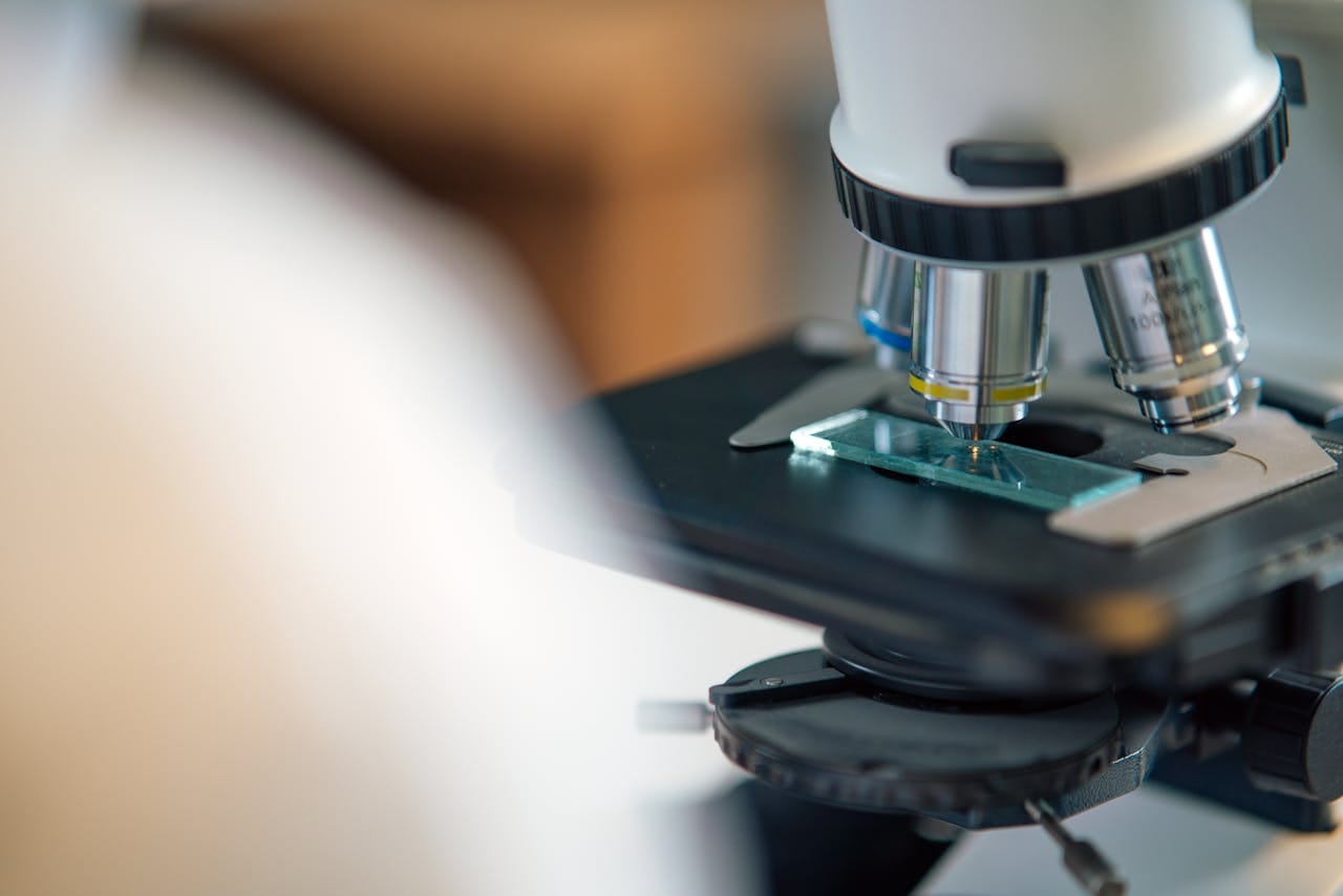 Interpreting Your Microbiology Lab Report: A Guide