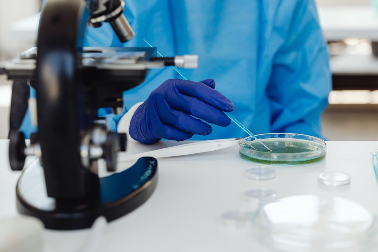 PYR Test: Staphylococcus & Bacterial Identification Guide