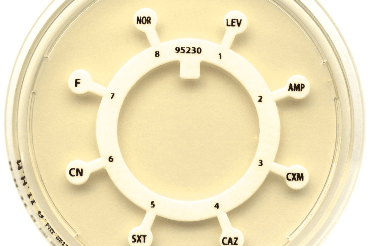 Antibiotic Disc : Method, Interpretation & Uses