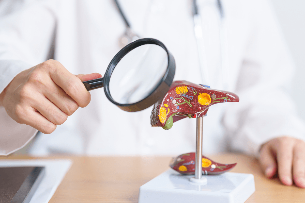 Conjugated vs Unconjugated Bilirubin: Differences Explained