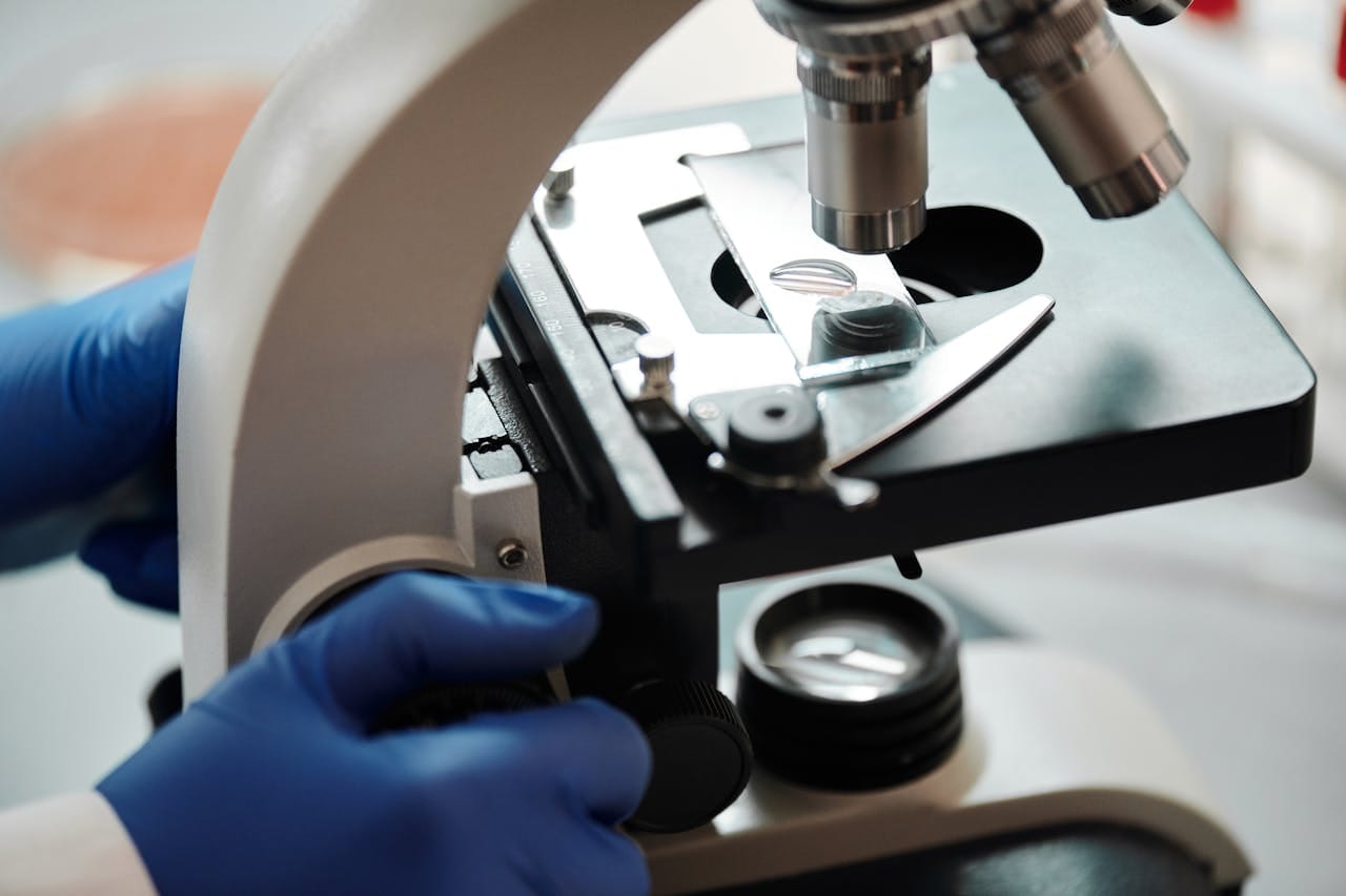 Immunology Test: Assessing Your Immune System Health