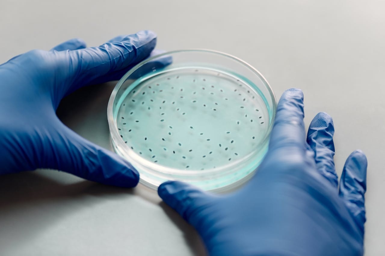 Antibiotic Sensitivity Test: How It Helps Fight Infections