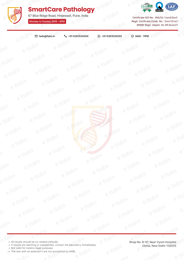 Letterhead 5